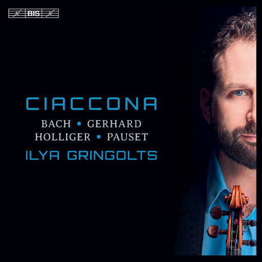 绝区零时间暂停遥控器
